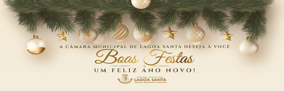 Banner Boas Festas
